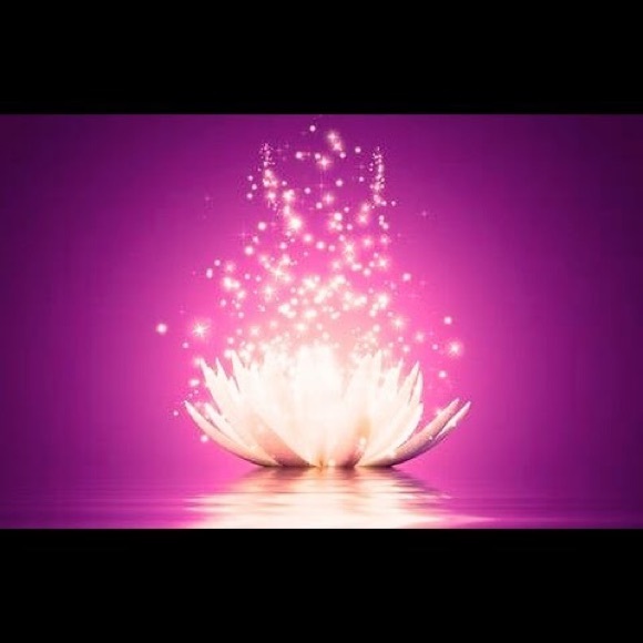 Meet your Posher, Li - Picture 1 of 1